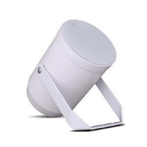 ATEIS CAD20T/EN Plastic Weather Speaker