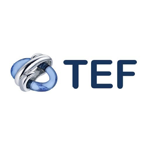 TEF INT-RS422-P2P-D Interface en anneau pour les panneaux de réseau Chameleon