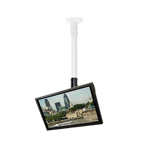 Image of BT7553-150BW