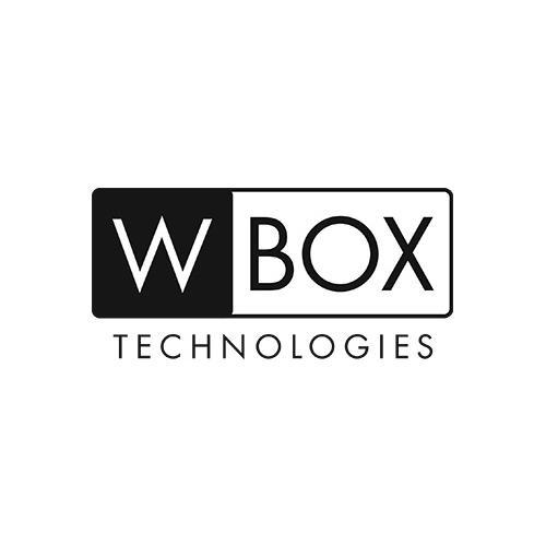 W BOX Batterie de remplacement pour moniteur de test WBXMLTEST