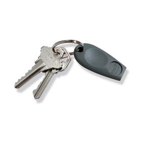 HID 1346 Prox Key III Series Programmable Proximity Keyfob, OR up to 28cm Supports 26 Bits Format, Black, 100-Pack
